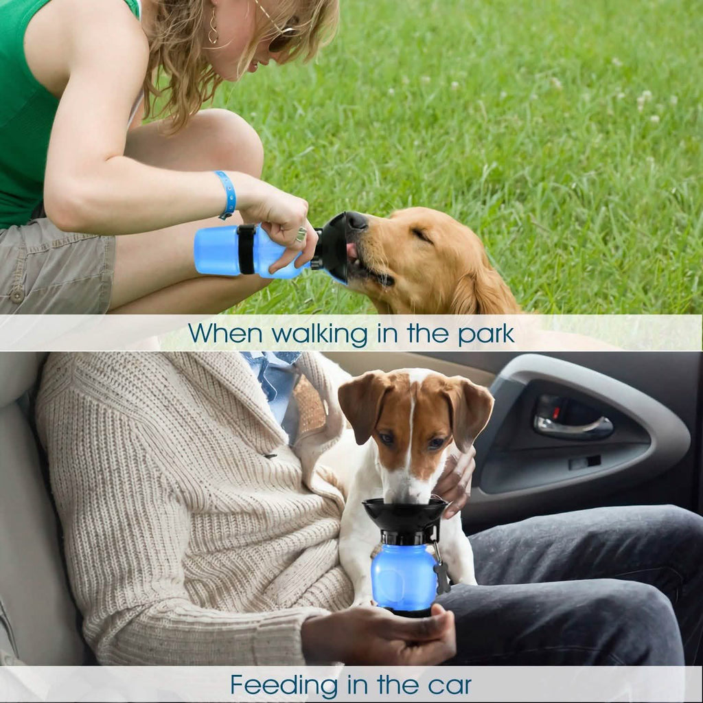 500ml Pet Water Bottle Portable Water Cup - PhishStones Products