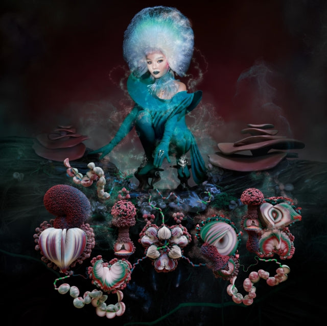 Medulla & Fossora