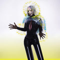 Bjork - Vulnicura - LP Vinyl