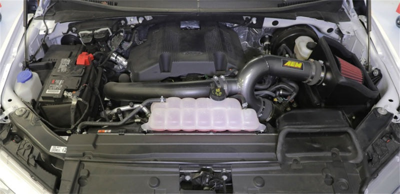AEM Induction AEM 17-18 Ford F-150 3.5L V6 F/I Gunmetal Gray Cold Air Intake 21-8130DC