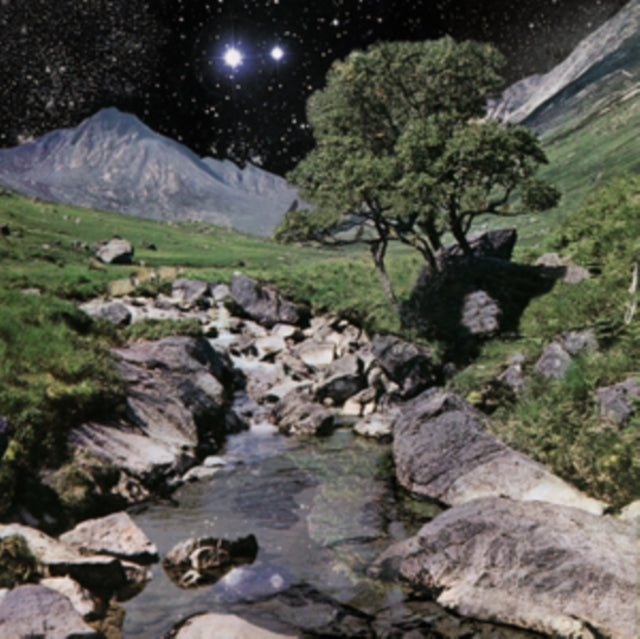 Beta Band - Beta Band - LP Vinyl
