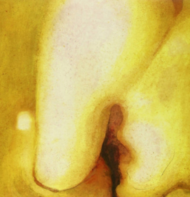 Smashing Pumpkins - Pisces Iscariot & Siamese Dream & Gish & Adore (2LP)
