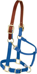 Weaver Equine Nylon Horse Halter, Triple-Ply Cheek Design, Original Non Adjustable Halters for Horses, Equine Tack,Average Size, Black