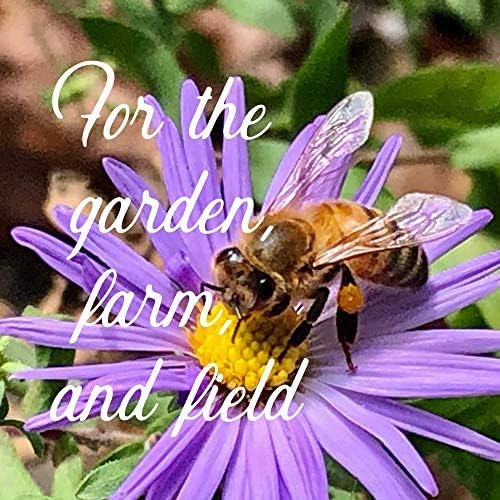 All Annual Wildflower Mix Seed for Planting by GreenHaven Gardens - 1 lb Bulk Non-GMO Seed Mix