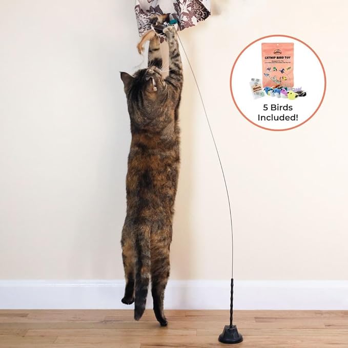 Interactive Catnip Bird Toy Set (5 Replacement Catnip Birds)