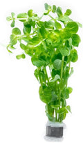 Live Plant - Rotala Indica Green - Easy Care, Moderate Light, Bright Green Accent, Freshwater Aquatic Plant for Aquascaping - Lead Bunch