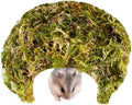 Coconut Hamster Hideout Hamster House Gerbil Cage for Small Animals with a Bundle of Apple Sticks a Carrot (Green)