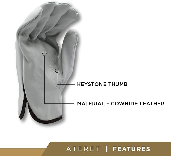 ATERET 12 Pairs Small Heavy Duty Durable Cowhide Leather Work Gloves I Driver Gloves for Truck Driving, Warehouse, Gardening, Farming