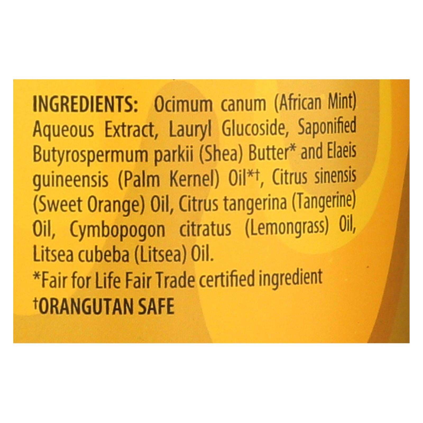 Alaffia Tangerine Citrus African Black Soap, 32 Fl Oz
