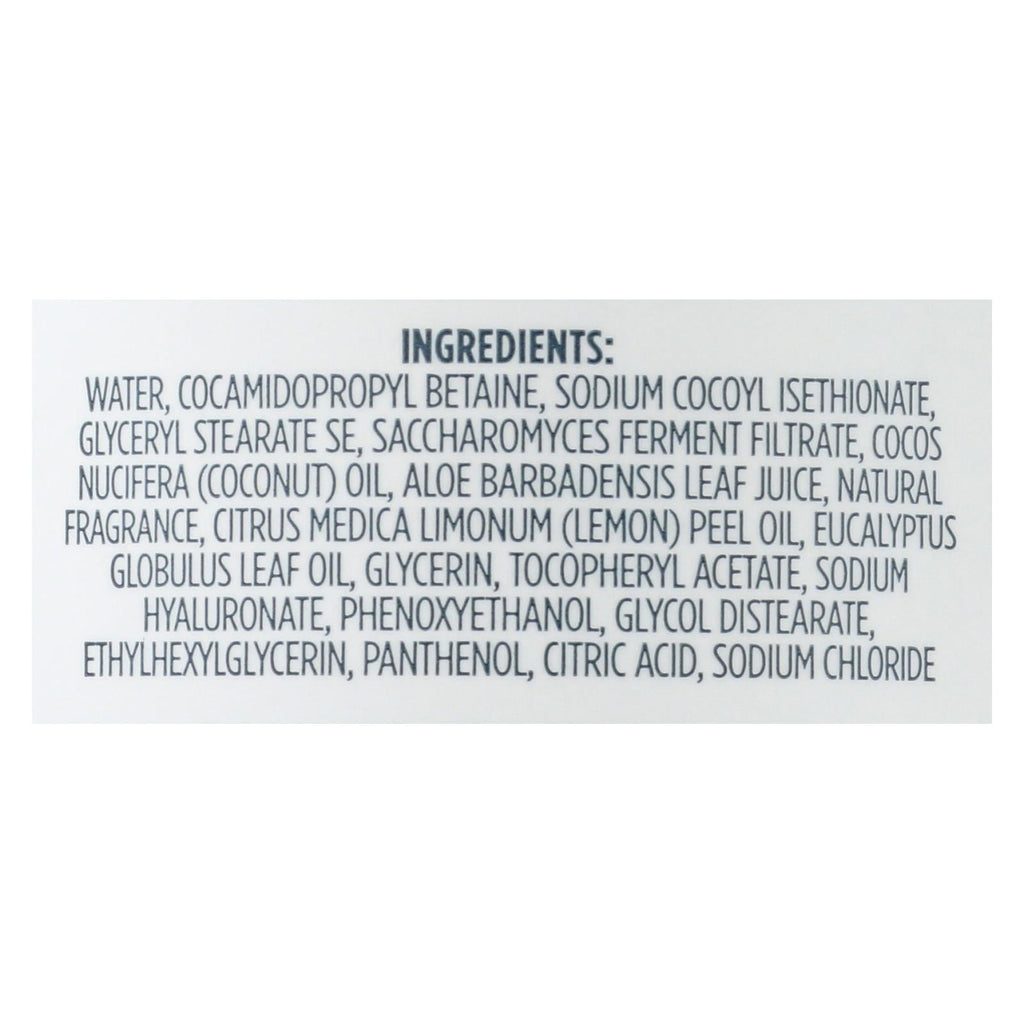 Kirk's Natural Lemon Eucalyptus Hand Soap, 12 Fl. Oz.