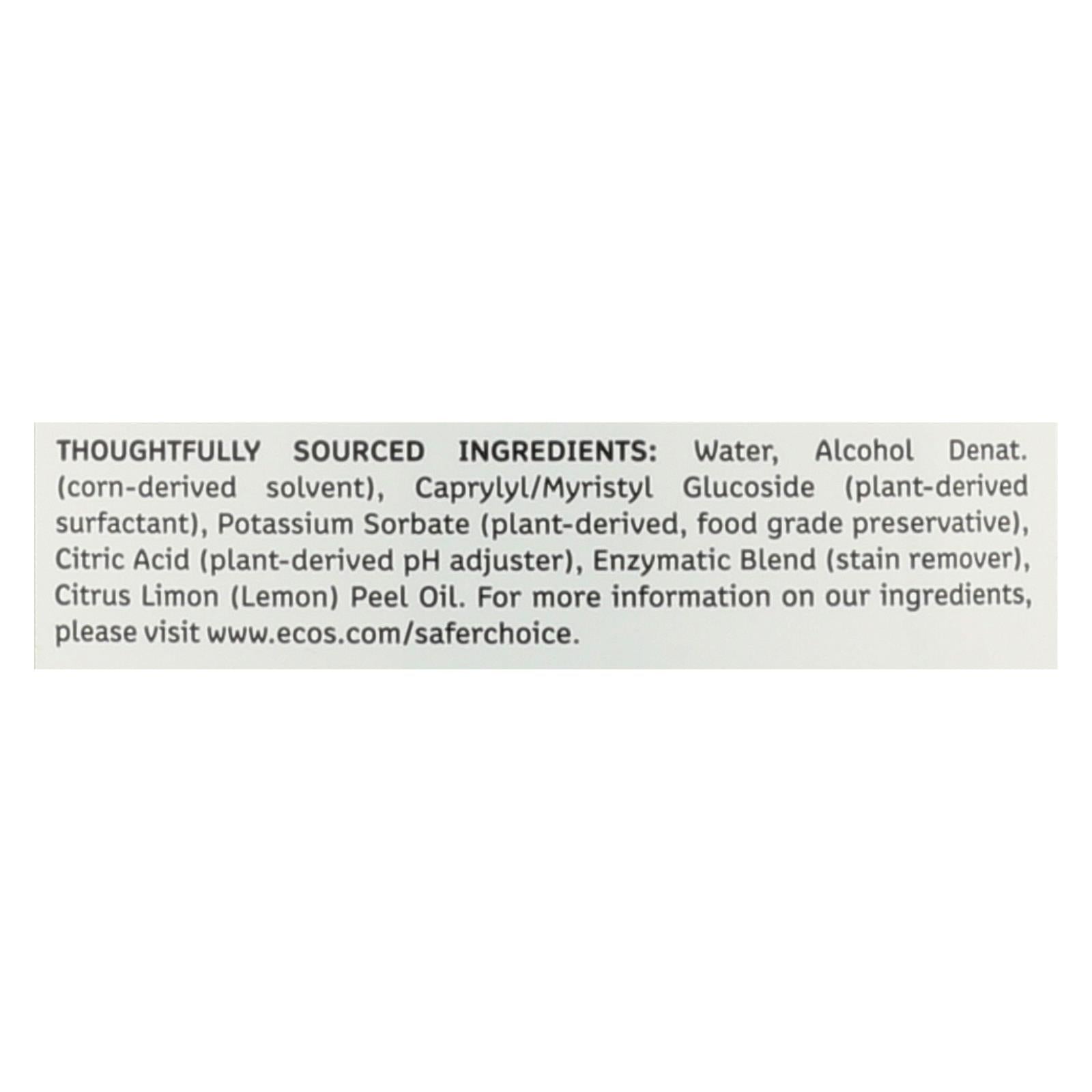 Earth-Friendly Stain & Odor Eliminator Spray (Pack of 6 - 22 Fl Oz.)