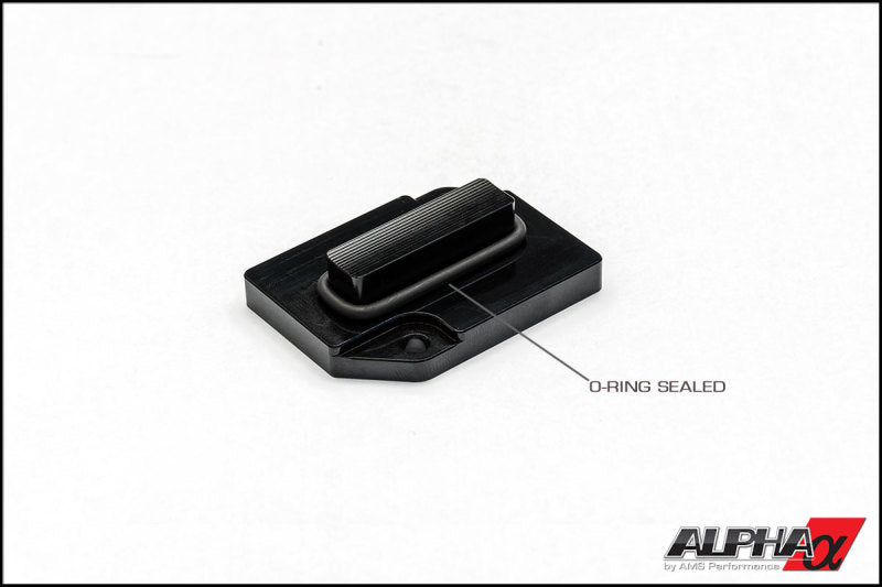 AMS Performance 2009+ Nissan GT-R R35 Alpha MAF Block Off Plates (Set of 2) ALP.07.08.0007-1