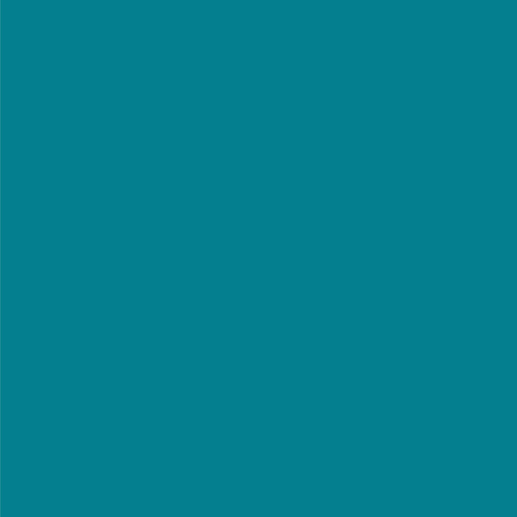 3M Littmann Lightweight II S.E. Stethoscope, Caribbean Blue, 28 Inch 2452