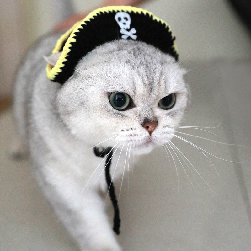 Pirate Hat Leaky Ear Small Handmade Pet Costume