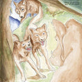 Bonnie Prince Billy - Wolf Of The Cosmos Vinyl LP Record