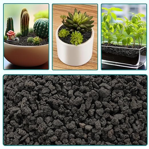 5lbs Small Lava Rocks for Plants Drainage, 1/5 Inch Black Gravel Mulch for House Plants, Succulent Rocks Pebbles for Planters,Cactus, Bonsai Tree, Pure Volcanic Rocks, Top - Dressing - PhishStones Products