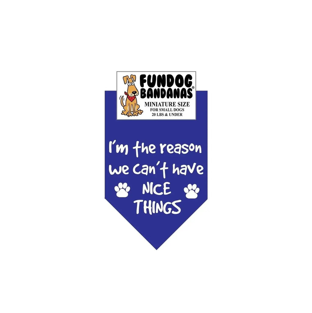 I'M the Reason We Can't Have Nice Things-Made in USA