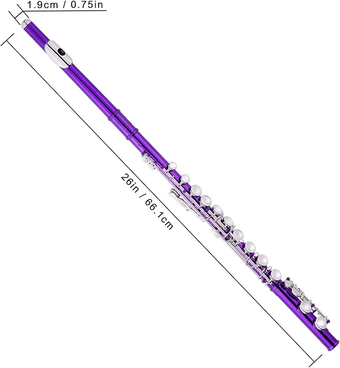 EASTROCK Closed Hole Flutes C 16 Key for Beginner, Kids, Student -Nickel Flute with Case Stand and Cleaning kit (Purple)