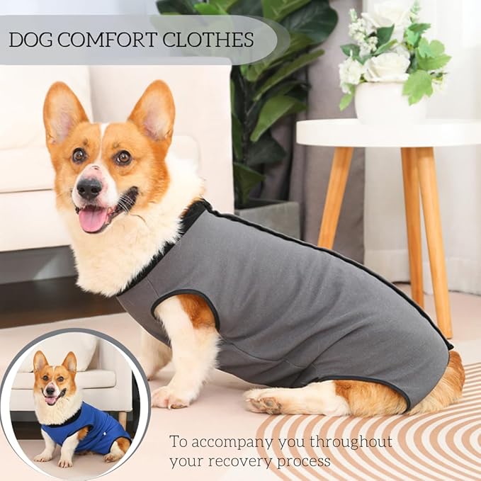 Dog Surgery Recovery Suit,Abdominal Surgical Suit for Dogs,Recovery Suit for Dogs,Prevent Licking Surgical Wound Dog Cone Alternative Blue S