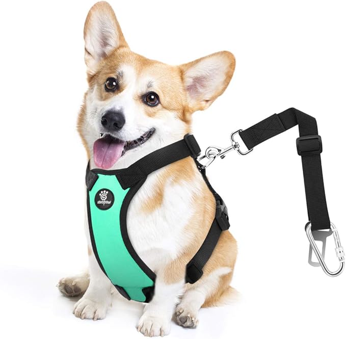 Dog Seat Belt, Safety Vest Dog Car Harness with Adjustable Buckle Dog Seat Belt for Vehicle Nylon Pet Safety Seat Belts Heavy Duty(S, Lake Blue)