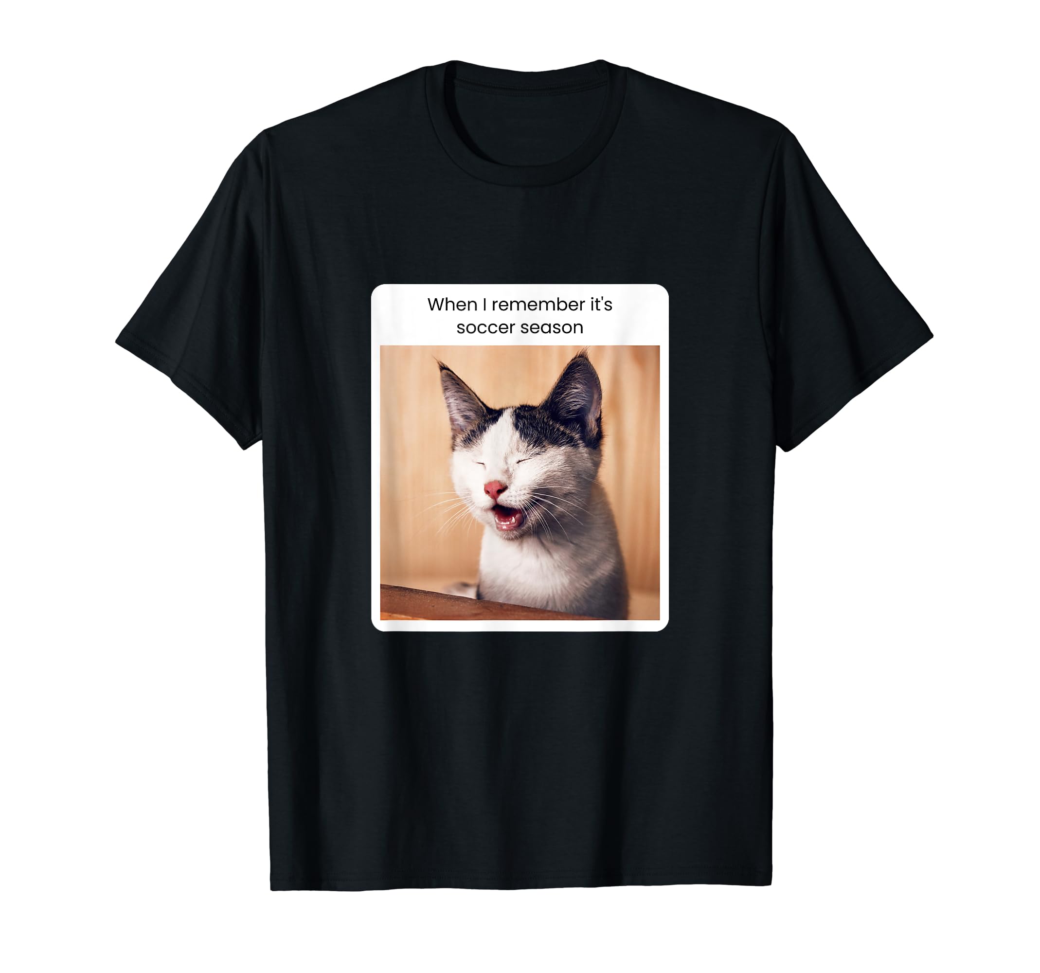 Funny Cat Meme When I Remember Its T-Shirt - Streetwear Style Men Women