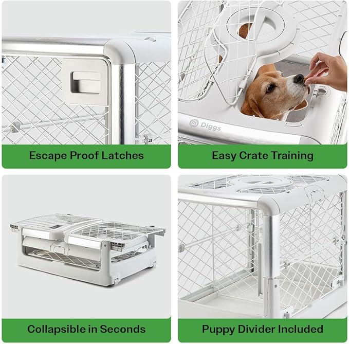 DIGGS Revol Collapsible Dog Crate with Wheels - Premium Portable Dog Crate - Safe, Stylish, and Convenient Indoor Kennel (Ash, Medium)