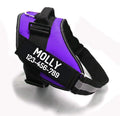 PawPawify Custom No Pull Dog Harness with Name and Phone Number, Heavy Duty Personalized Pet Vest to Prevent Tugging, Pulling, or Choking, Training and Walking (Purple, XL (60-85 LBS))
