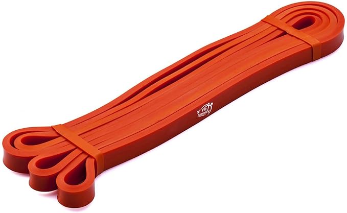 Fit Simplify Pull Up Assist Resistance Bands for Fitness, Physical Therapy, Stretching, Mobility and Exercise