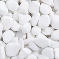 SIDONG 5 lbs White River Rocks, 1.2-2 Inches Pebbles for Indoor Plants, Aquarium Rocks Used in Fish Tank, Decorative Stones for Plants, Vases, Home Décor, Crafting, Garden Landscaping