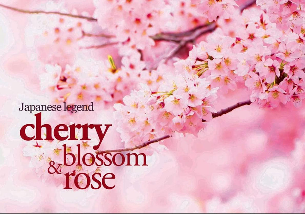 Luxliss Cherry Blossom Rose Volumizing Hair Care Shampoo 500 ml