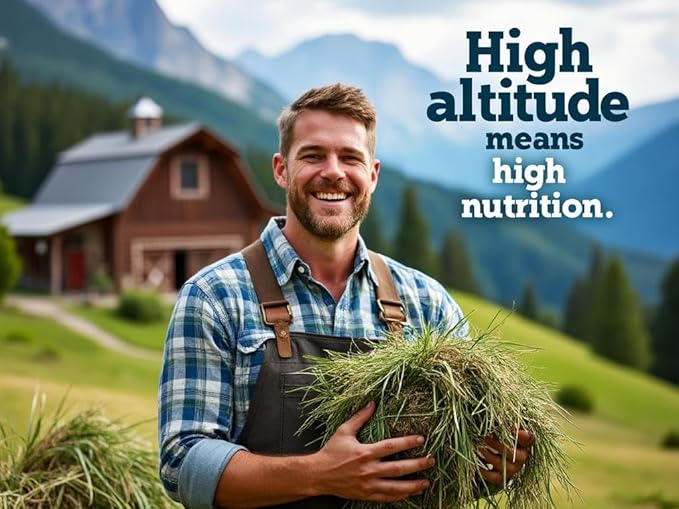 Blue Mountain Hay | Fresh Timothy Hay (40 Ounce) | Great for All Ages | High-Altitude Hay Pet Food for Rabbits, Guinea Pigs, Chinchillas, Hamsters, and Other Small Pets