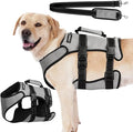 Ayquez Dog Lift Harness with Storage and Transport Bag, Dog Harness with Handle for Lifting & Hip dysplasia, arnés para Perros pequeños, pechera para Perros (Gray, XXL)