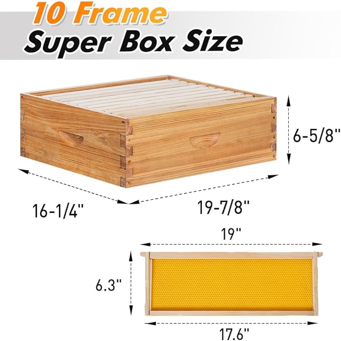 POLLIBEE 10 Frame Langstroth Beehive, Beeswax Coated Bee Hives for Bee Keeper,Beehive Include 2 Deep Bee Boxes and 1 Medium Bee Hive Box with Frame and Foundation(Unassembled)