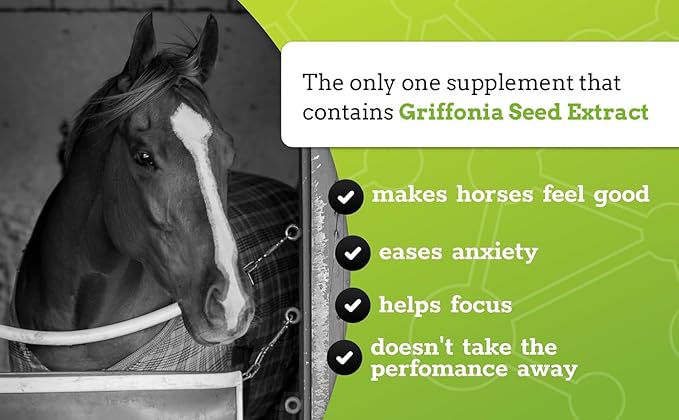 SynChill Oral Horse Calming Gel, 100% Natural & Nutritional Supplement, Lab Proven Results, Designed for Focus & Performance, Approved by Olympic Professionals & Veterinarians, Made in USA - 25-Pack
