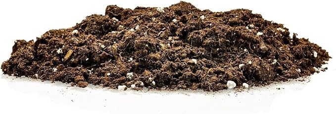 Premium Pothos Potting Soil Mix - Air Cleaning Plant Potting Mix, Soil Mix for Pothos, Parlor Palm, Peace Lily - (5 Quart Bag)
