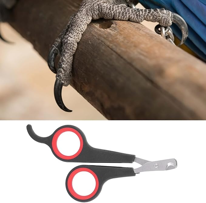 Cat Nail Trimmer, Pet Nail Clippers, Stainless Steel Bird Nail Clippers, Comfortable Cat Nail Cutter, Small Animal Nail Clippers 4.6x2.4In for Bird, Rabbit, Dog, Parrot