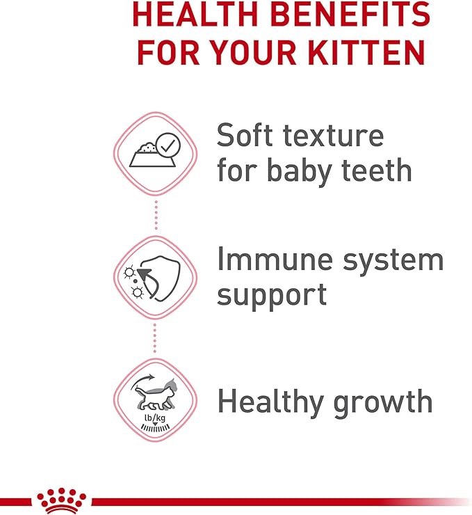 Royal Canin Feline Health Nutrition Kitten Thin Slices in Gravy Canned Cat Food, 3 oz can (6-pack)