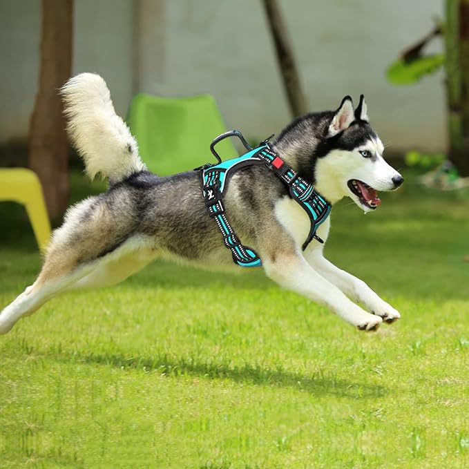 PoyPet No Pull Dog Harness, No Choke Front Clip Reflective Dog Vest with Soft Padded Vertical Handle, 3 Leash Attachments for Small Medium Large Dogs (Mint Blue,M)