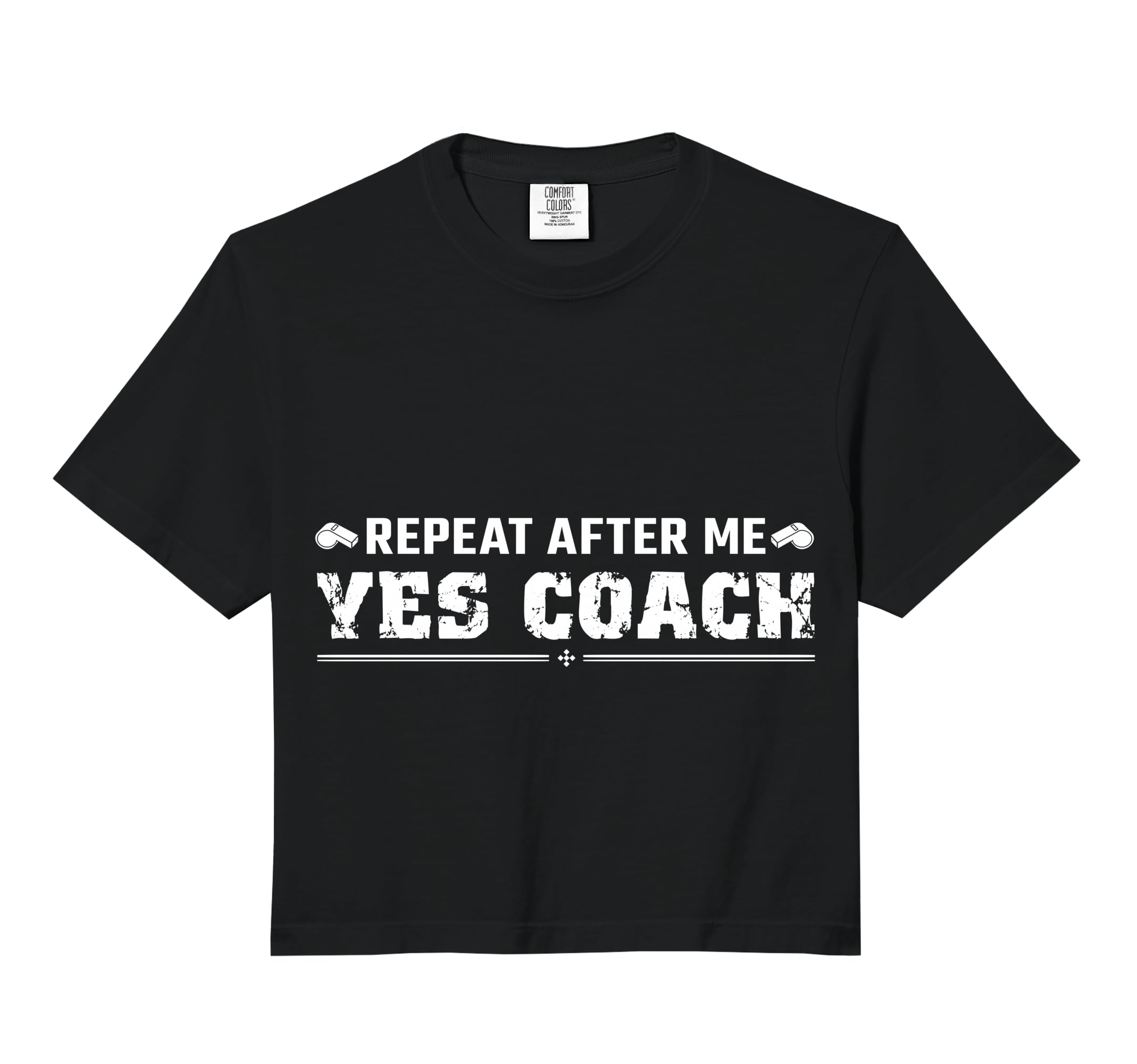 Repeat After Me Yes Coach Funny Coaching Hoodie - Custom Art Print Unisex