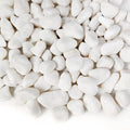 HappyFiller 18 LB White Gravels Small Terrarium Rocks Stones for Bamboo,Cactus,Vase Fillers,Succulents Plants,Landscaping,Aquarium,Zen Garden,1 Inch