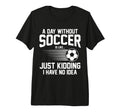 Funny Soccer Sport Player Soccer Tri Blend T-Shirt - Novelty Apparel Unisex
