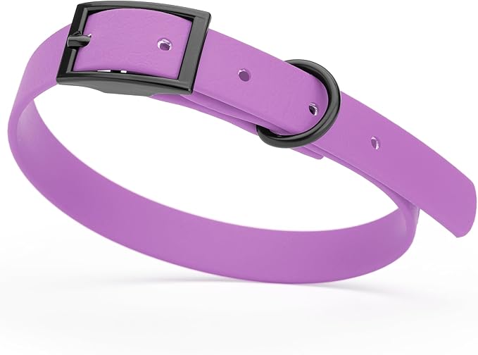 Dogline Biothane Waterproof Dog Collar Strong Coated Nylon Webbing with Black Hardware Odor- Proof for Easy Care Easy to Clean High Performance Fits Small Medium or Large Dogs, Amethyst Purple