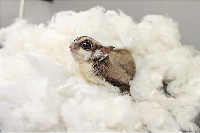 All-Natural Nesting Material (1.5 oz.) - 100% Cotton Eco-Friendly Animal Bedding - For Sugar Gliders, Squirrels, Hamsters, Rabbits, Chinchillas, Rats, Mice, Gerbils, Guinea Pigs and Other Small Pets