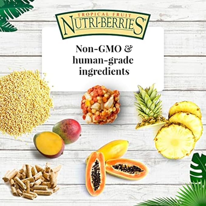 LAFEBER'S Tropical Fruit Nutri-Berries Pet Bird Food, Made with Non-GMO and Human-Grade Ingredients, for Parrots, 3 lb