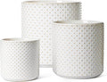 LE TAUCI Ceramic Plant Pots Indoor, 10+8+6 Inch Planters for Indoor Plants, Raised Dots Flower Pots with Drainage Hole and Plug, Cylinder Round Planters, Set of 3, Glaze Arctic White