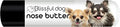 The Blissful Dog Long Coat Chihuahua Nose Butter for Dry, Cracked Skin, Lick-Safe Dog Nose Balm with Moisturizing Shea Butter, Almond, Olive, and Essential Oils, Pet Supplies, Uncented, 0.15 oz.