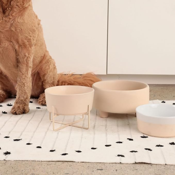 Waggo Uplift Ceramic Dog Bowl for Small Medium and Large Breeds - Heavyweight and Durable Pet Food and Water Dish Crock, Dishwasher Safe, Modern, Elevated Feeder (Buttercream, Small)