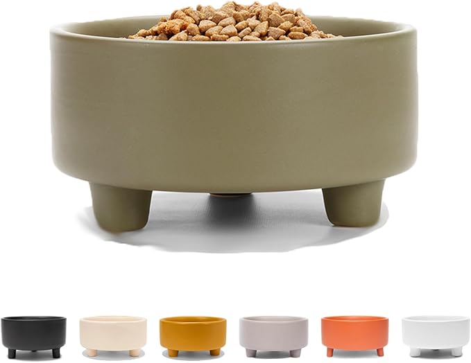 Waggo Uplift Ceramic Dog Bowl for Small Medium and Large Breeds - Heavyweight and Durable Pet Food and Water Dish Crock, Dishwasher Safe, Modern, Elevated Feeder (Olive, Large)
