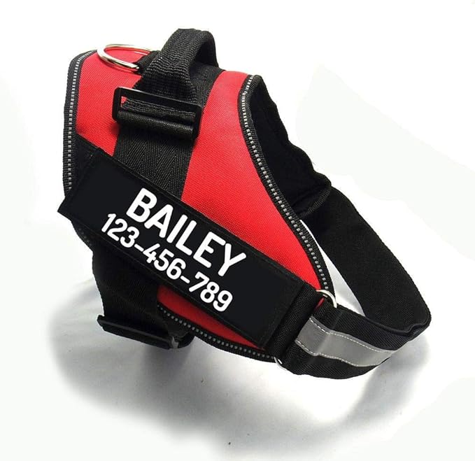 PawPawify Custom No Pull Dog Harness with Name and Phone Number, Heavy Duty Personalized Pet Vest to Prevent Tugging, Pulling, or Choking, Training and Walking (Red, XS (5-9LBS))
