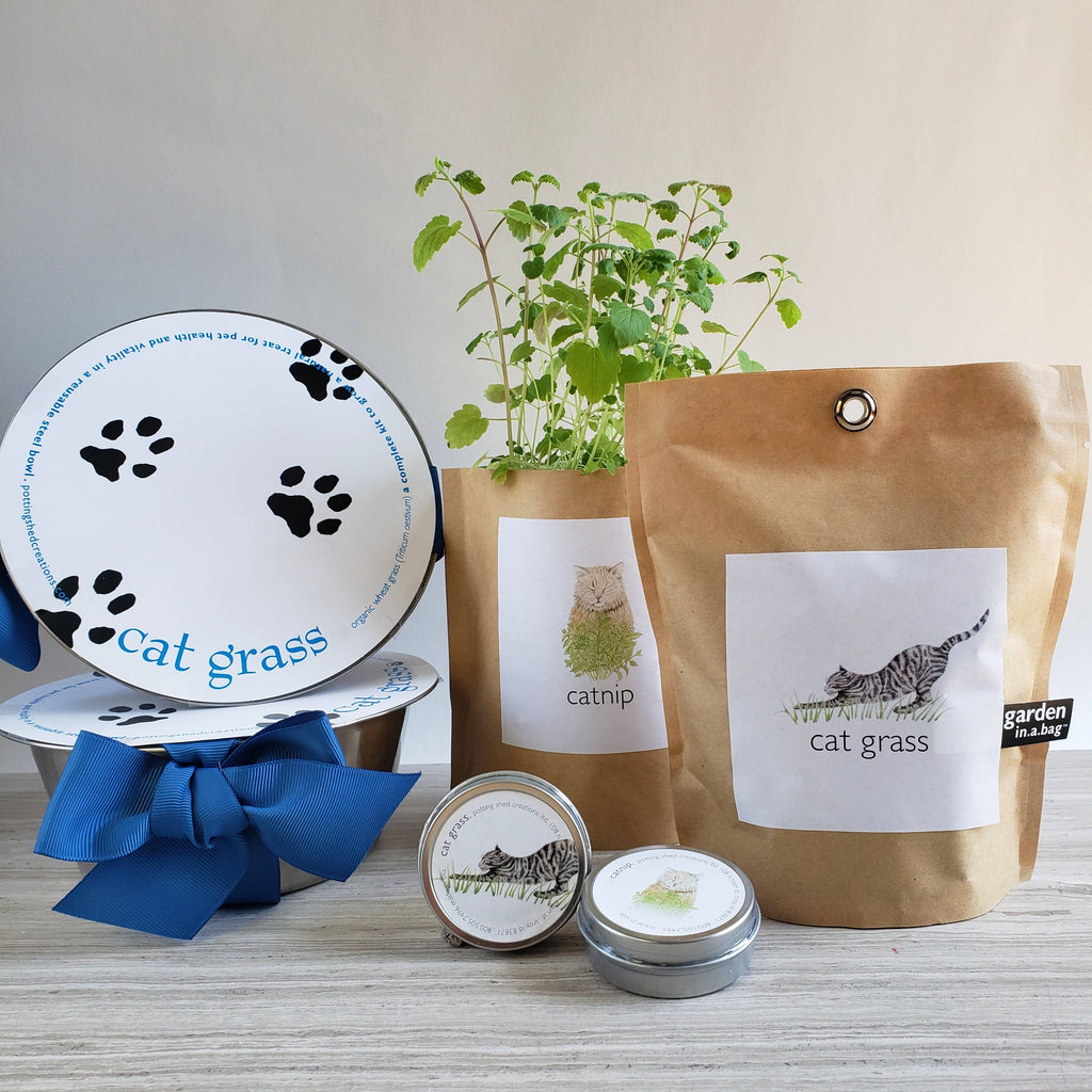 🐱🌱Garden in a Bag | Catnip | Spring Pet Treat Gift